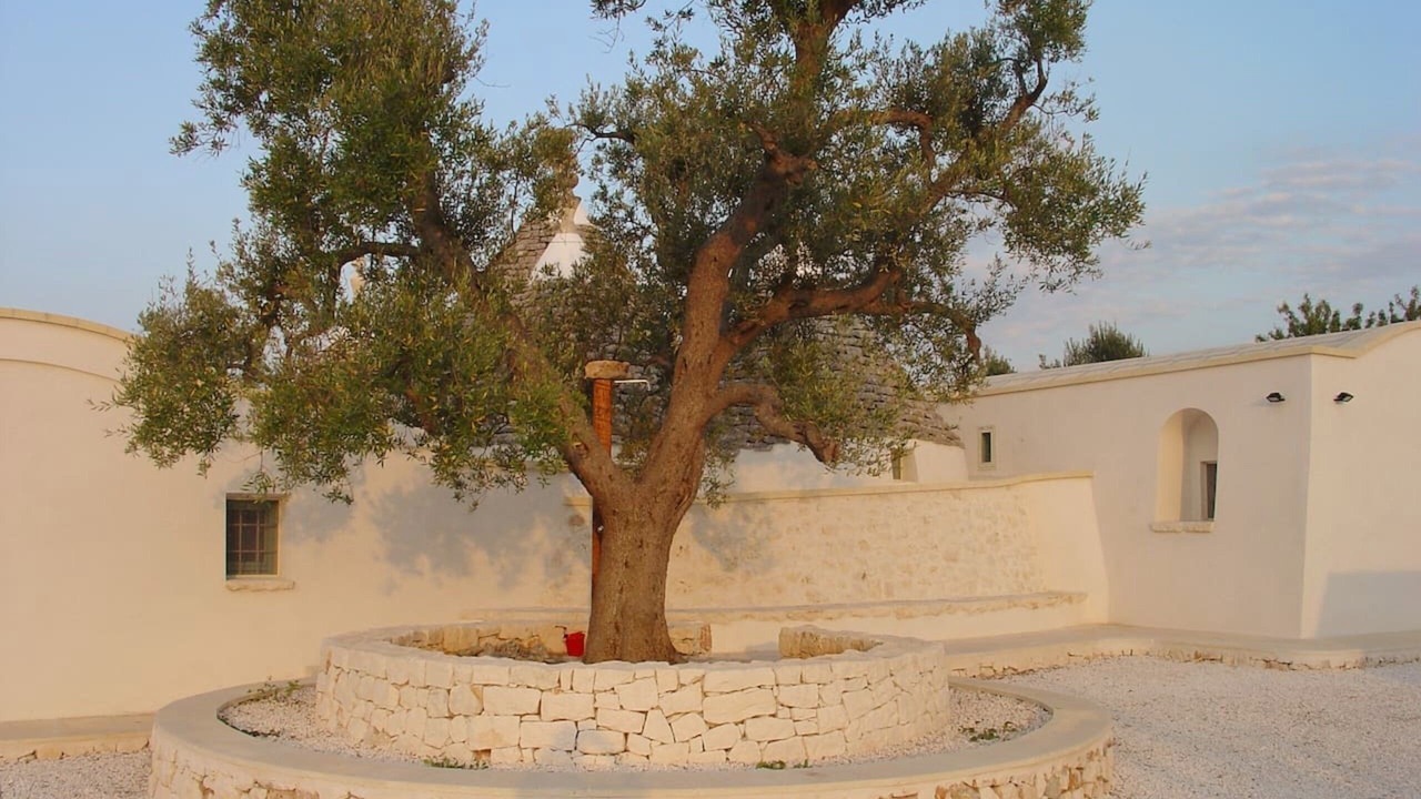 Photo of Others in Ostuni