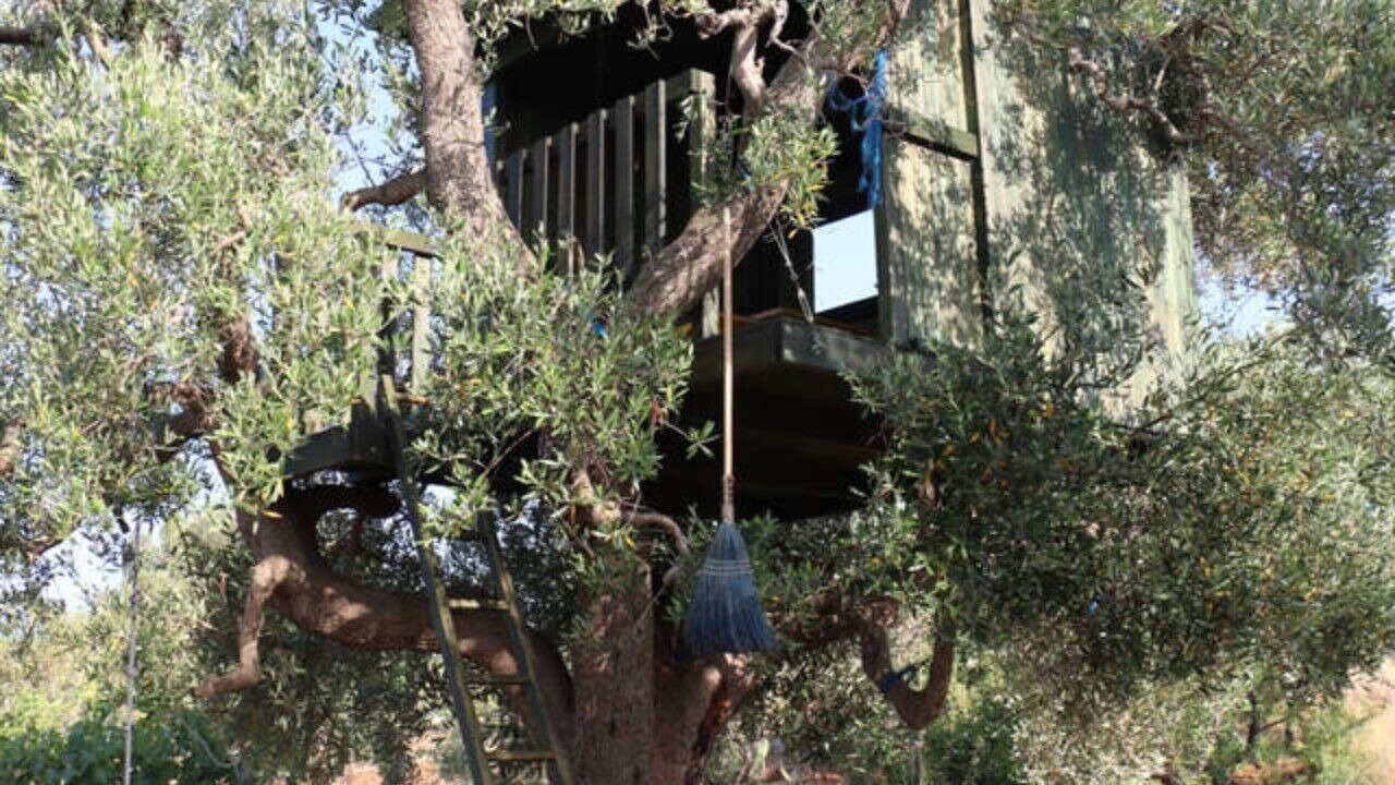 Photo of Others in Ostuni