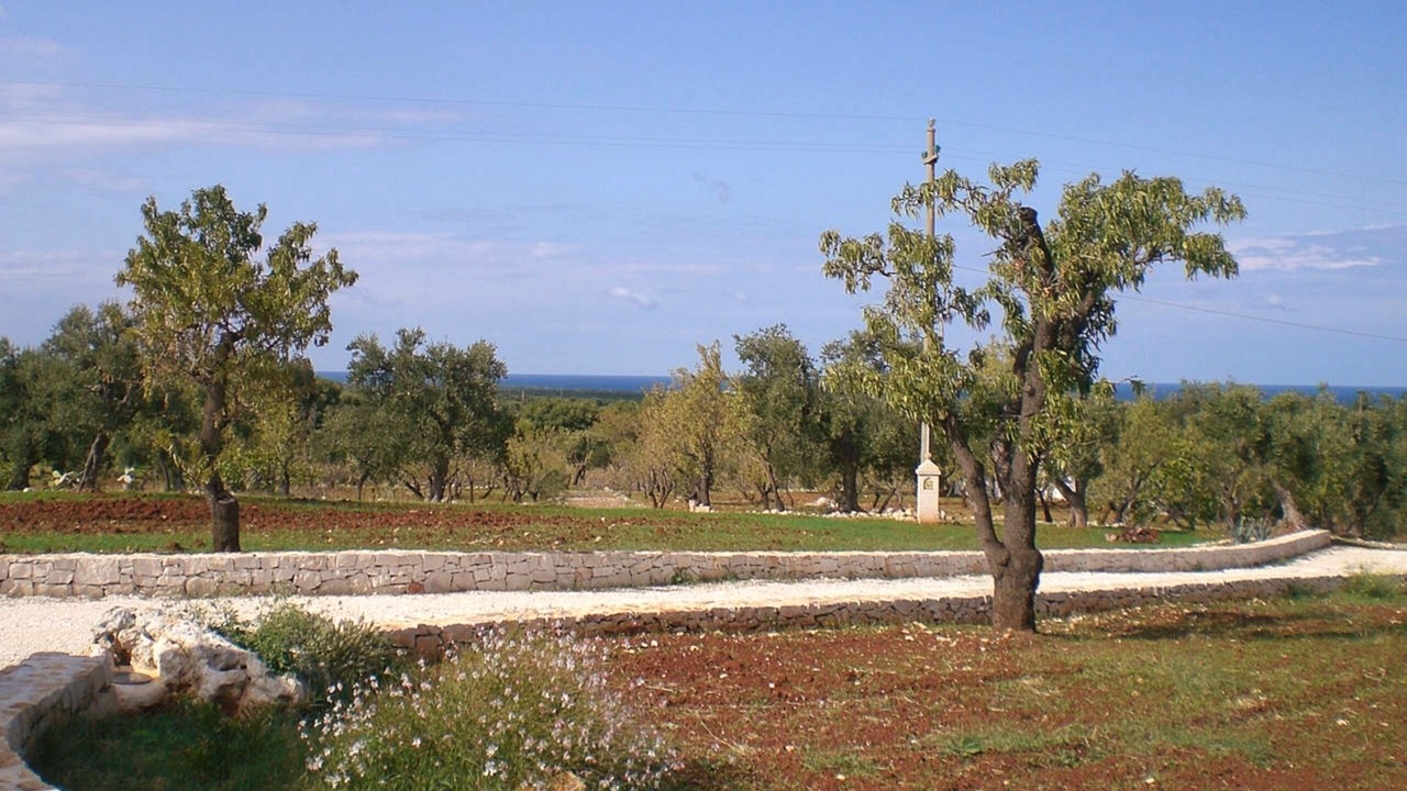 Photo of Outdoor in Ostuni