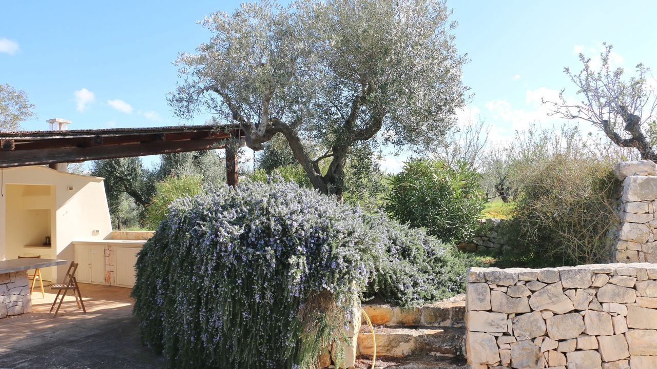 Photo of Outdoor in Ostuni