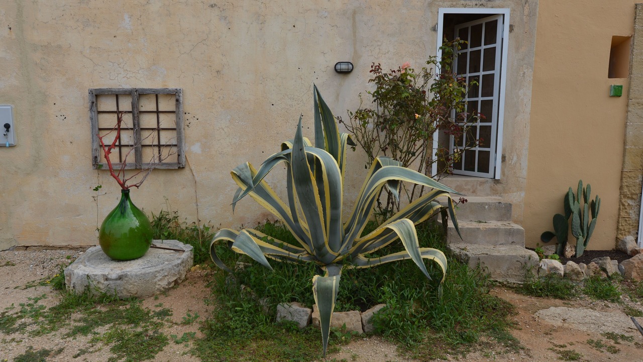 Photo of Outdoor in Parabita