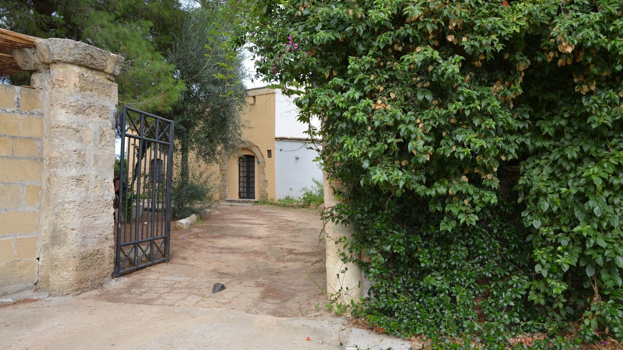 Photo of Outdoor in Parabita
