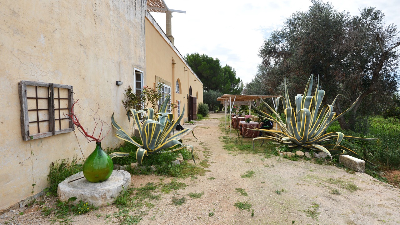 Photo of Outdoor in Parabita
