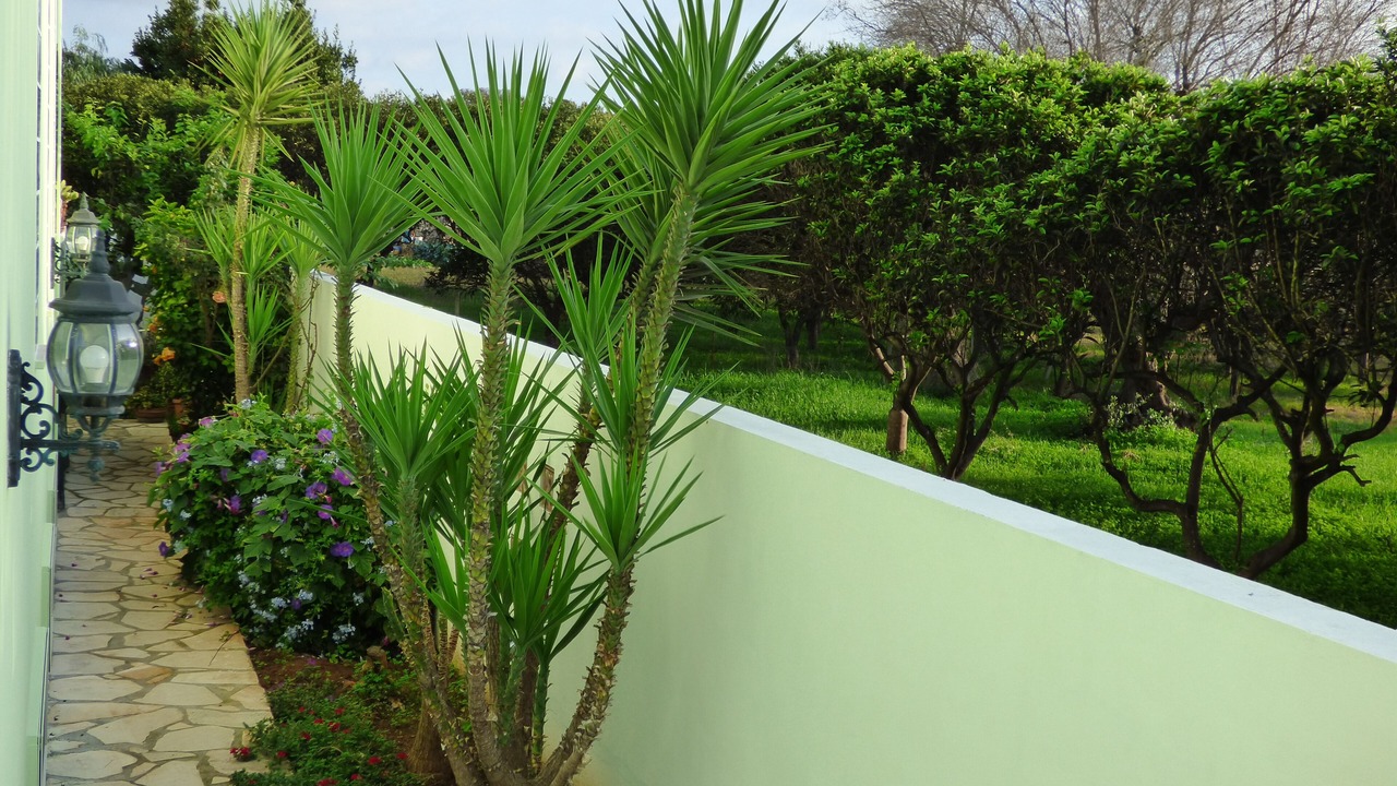 Photo of Outdoor in Alezio
