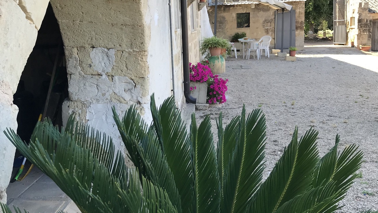 Photo of Outdoor in Galugnano