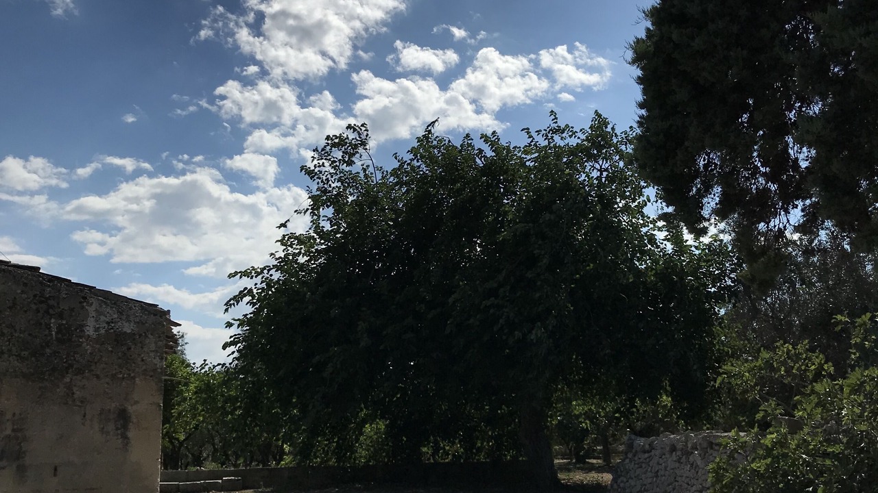 Photo of Outdoor in Galugnano