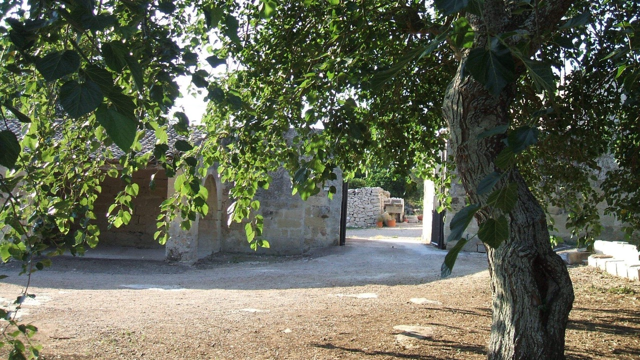 Photo of Outdoor in Galugnano