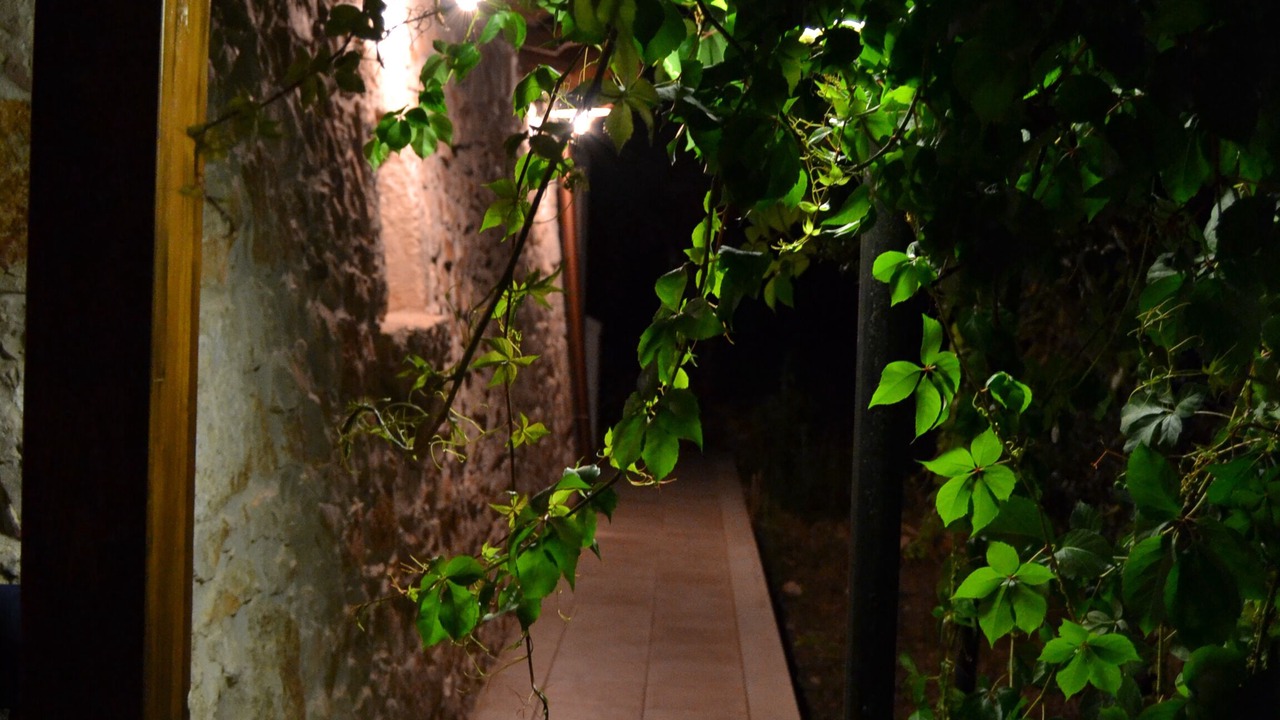 Photo of Outdoor in Coreggia