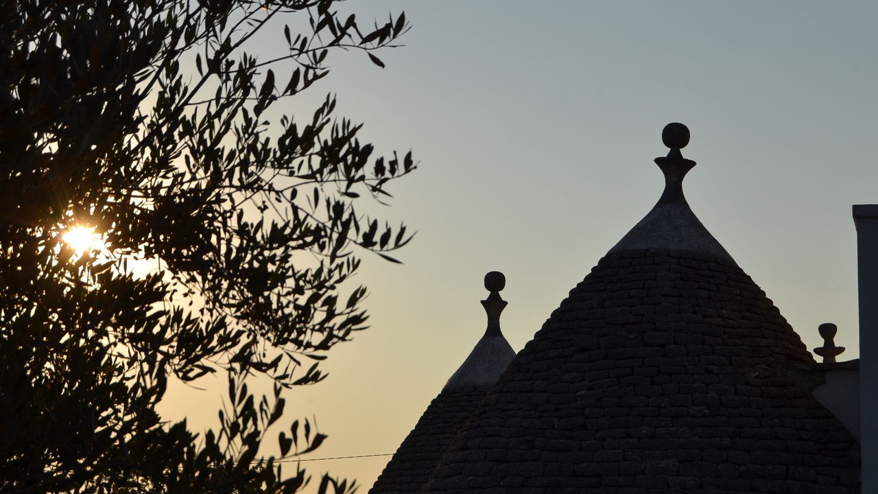 Photo of Outdoor in Coreggia
