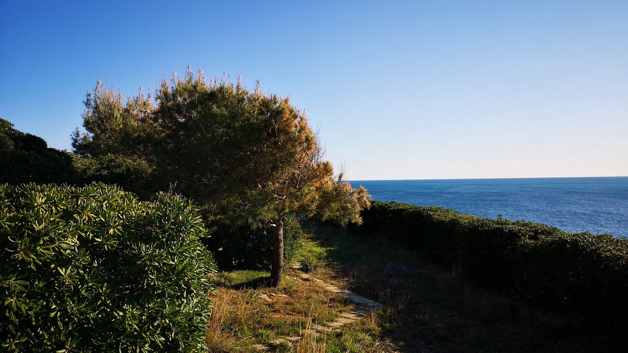 Photo of Outdoor in Marina di Felloniche