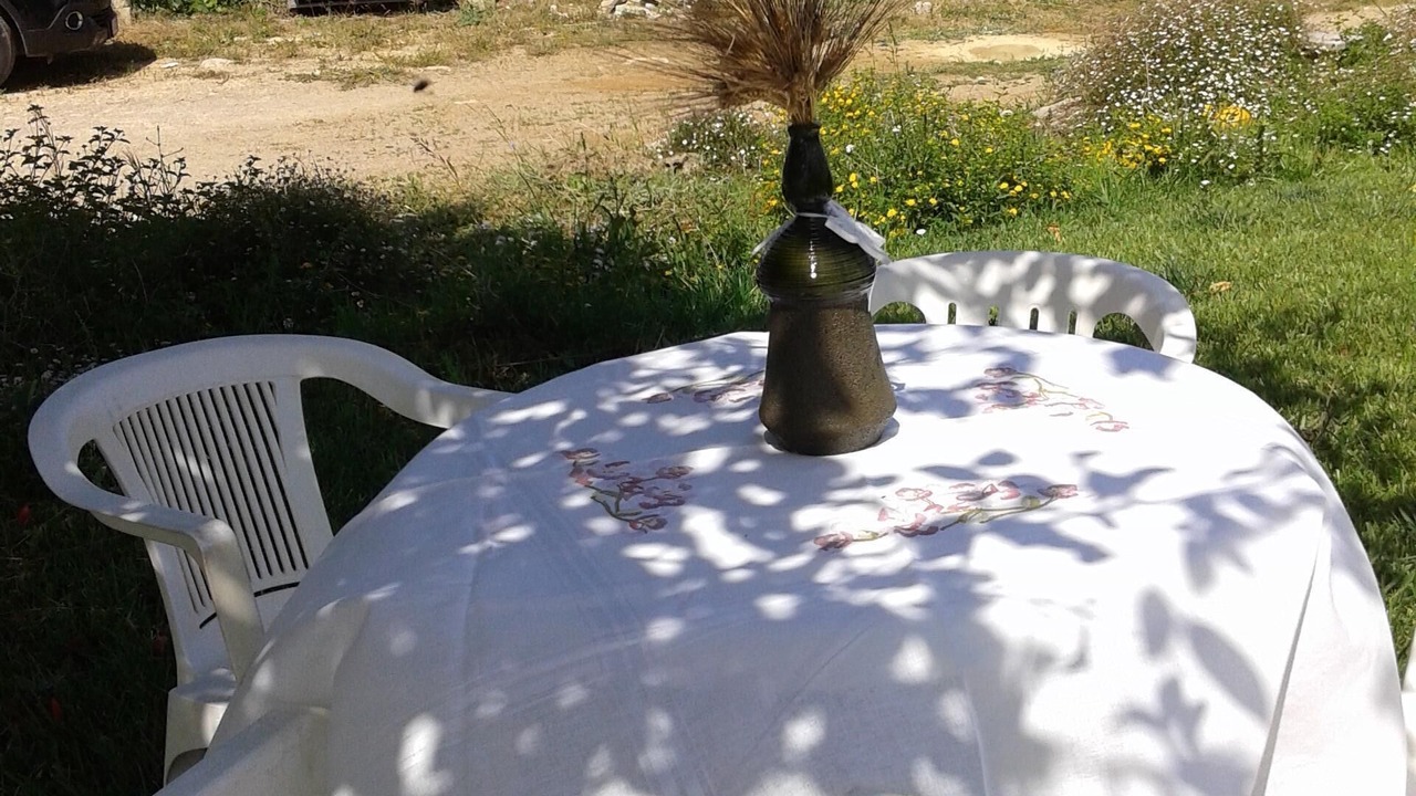 Photo of Outdoor in Casarano