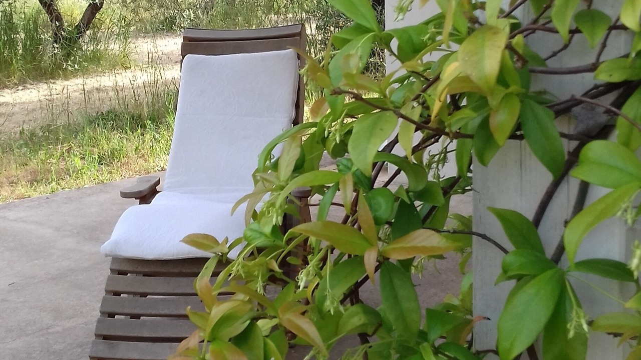 Photo of Outdoor in Casarano