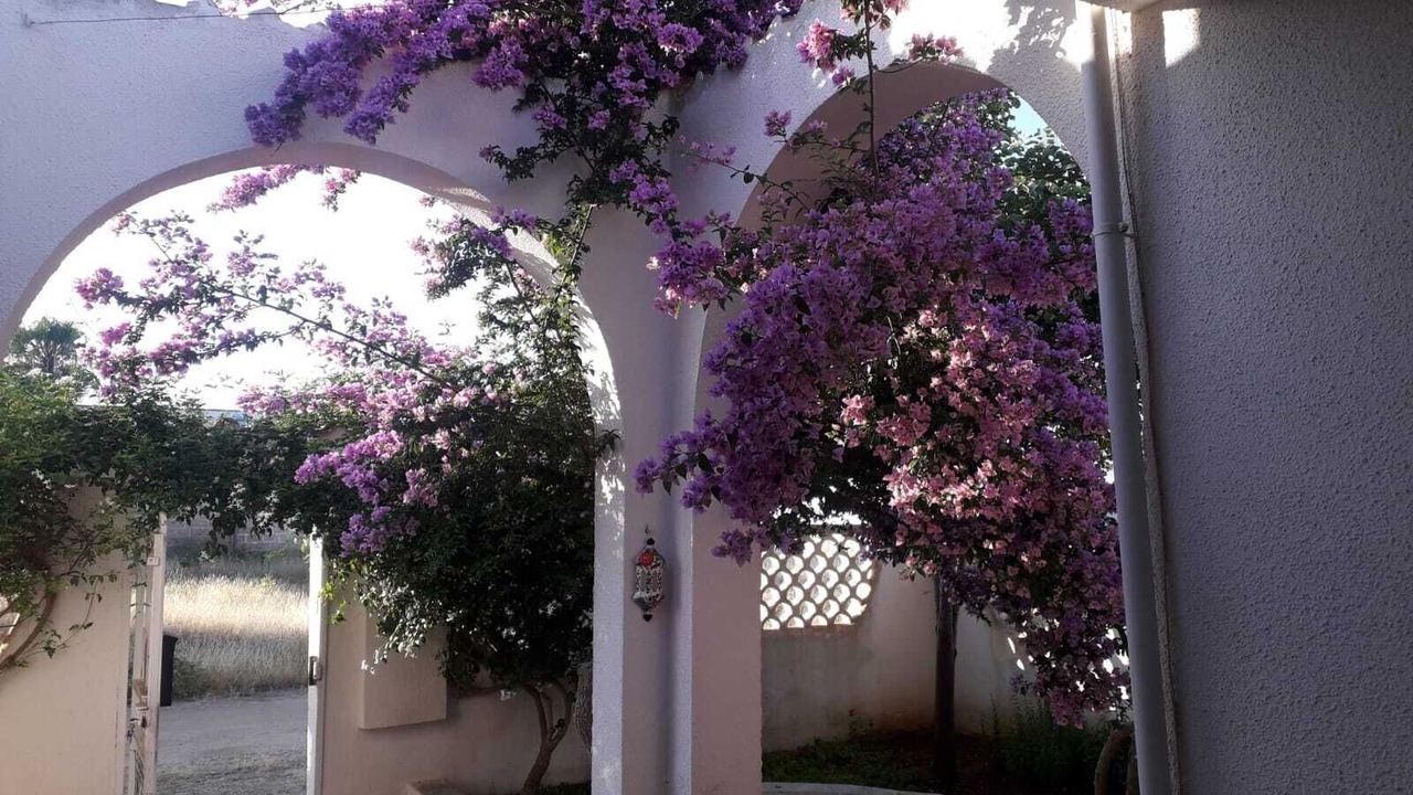Photo of Outdoor in Torre Lapillo