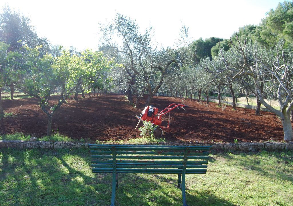 Photo of Outdoor in Alessano