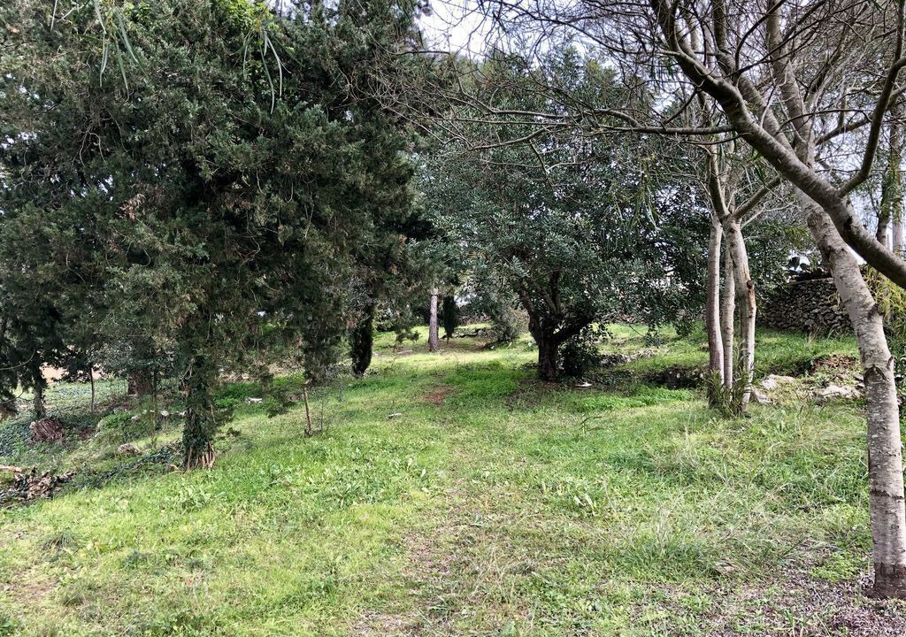 Photo of Outdoor in Alessano