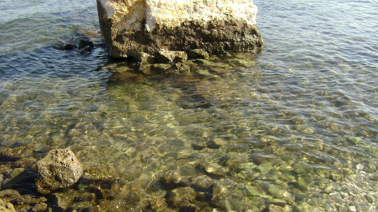Photo of Others in Trani