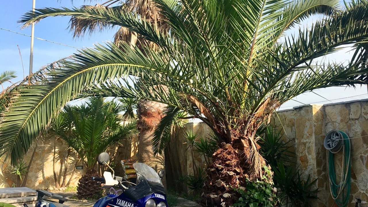Photo of Outdoor in Torre Chianca