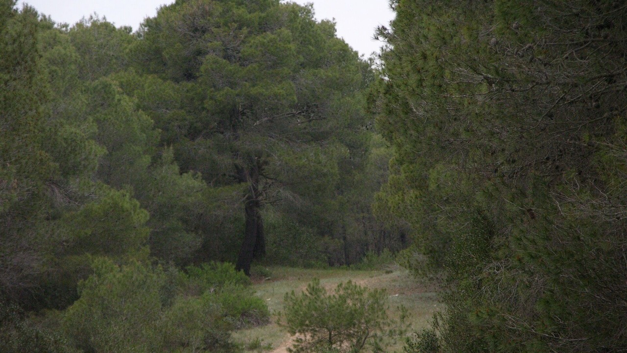 Photo of Outdoor in Castellaneta Marina