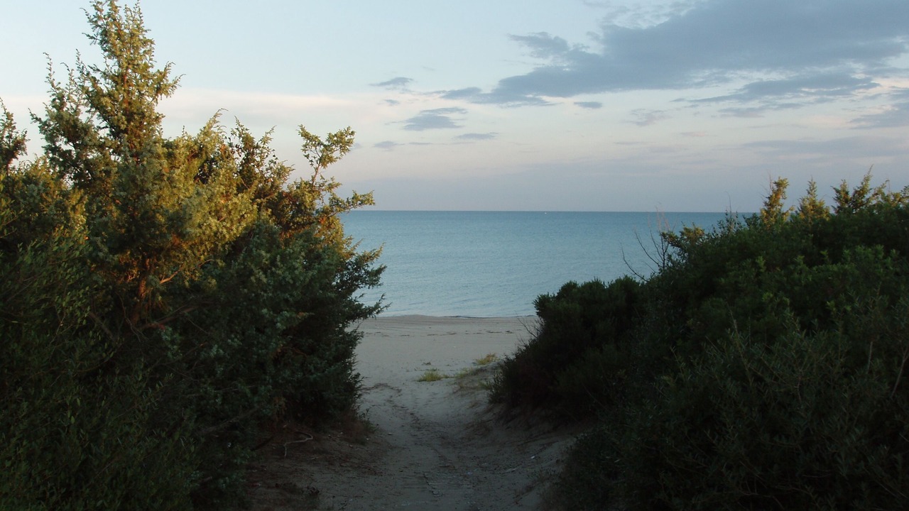 Photo of Others in Castellaneta Marina