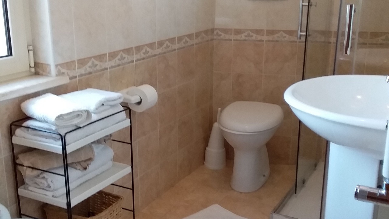 Photo of Bathroom in Municipio 5