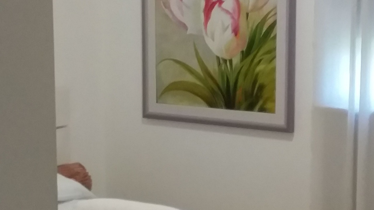 Photo of Bedroom in Municipio 5
