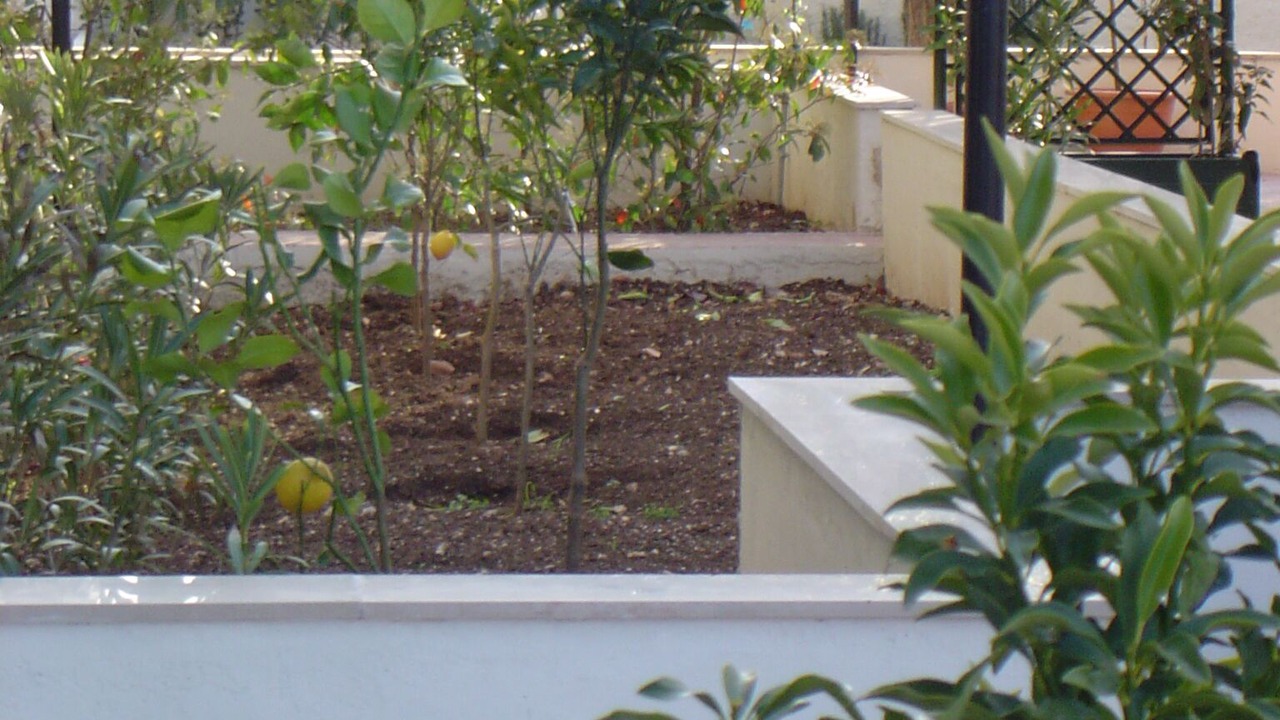 Photo of Outdoor in Municipio 5