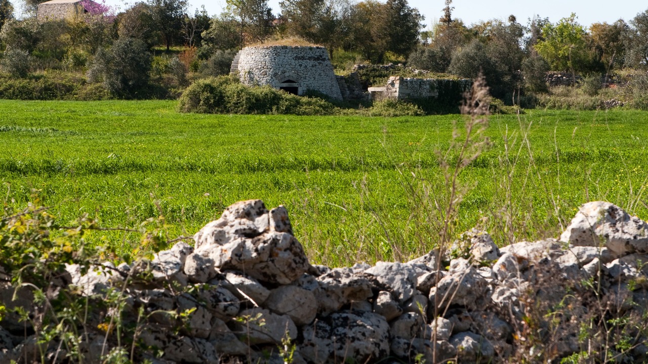 Photo of Outdoor in Gallipoli