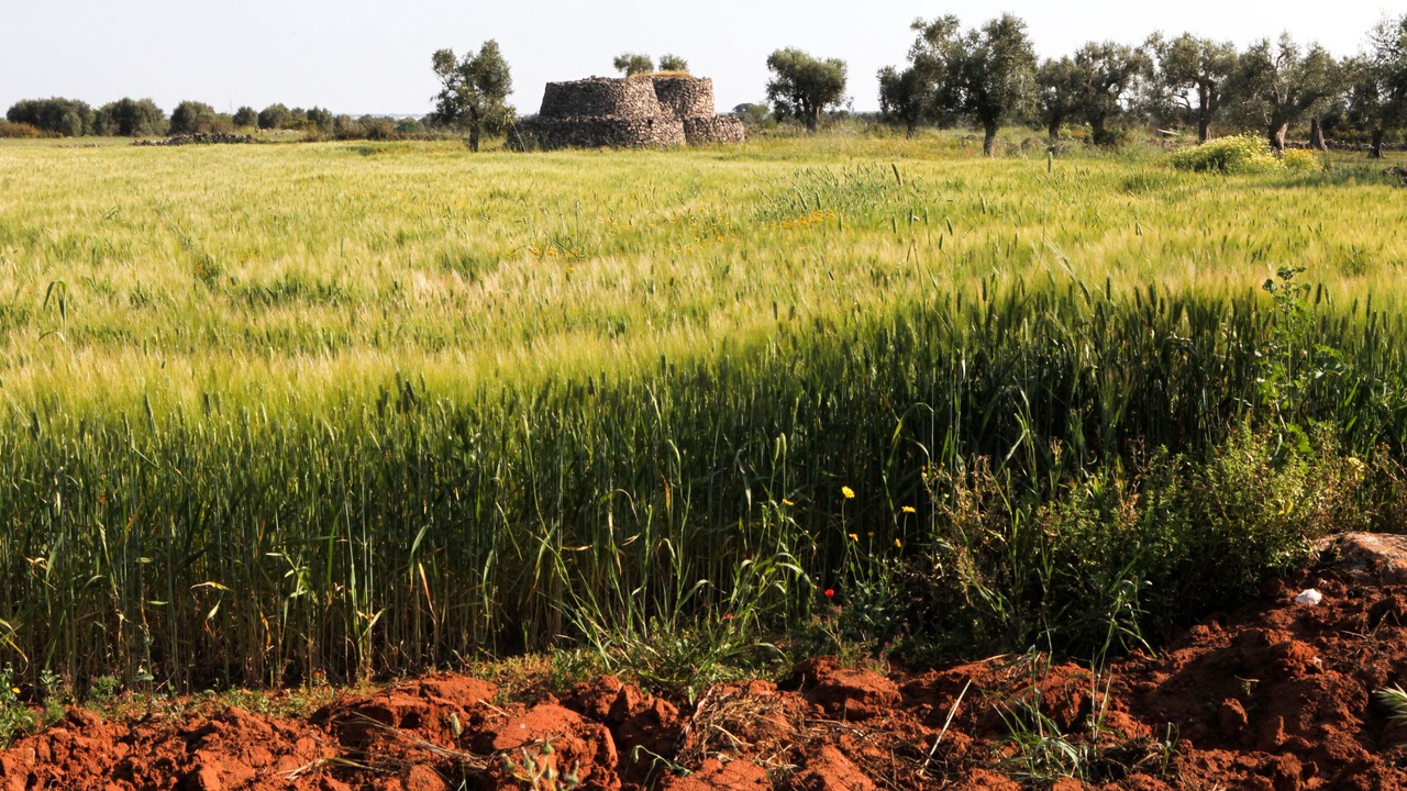Photo of Outdoor in Gallipoli