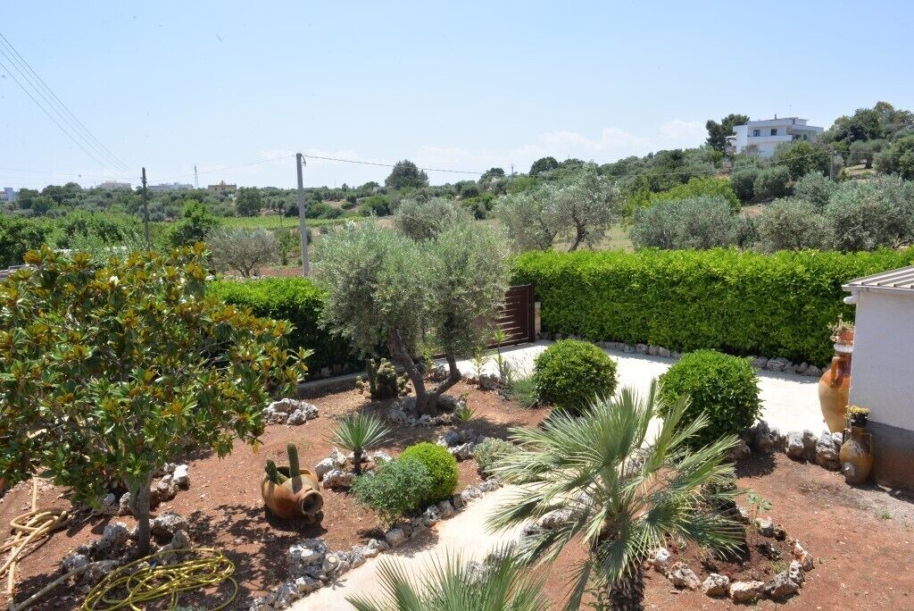 Photo of Outdoor in Casalini