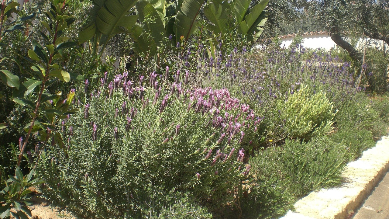 Photo of Outdoor in Posto Rosso