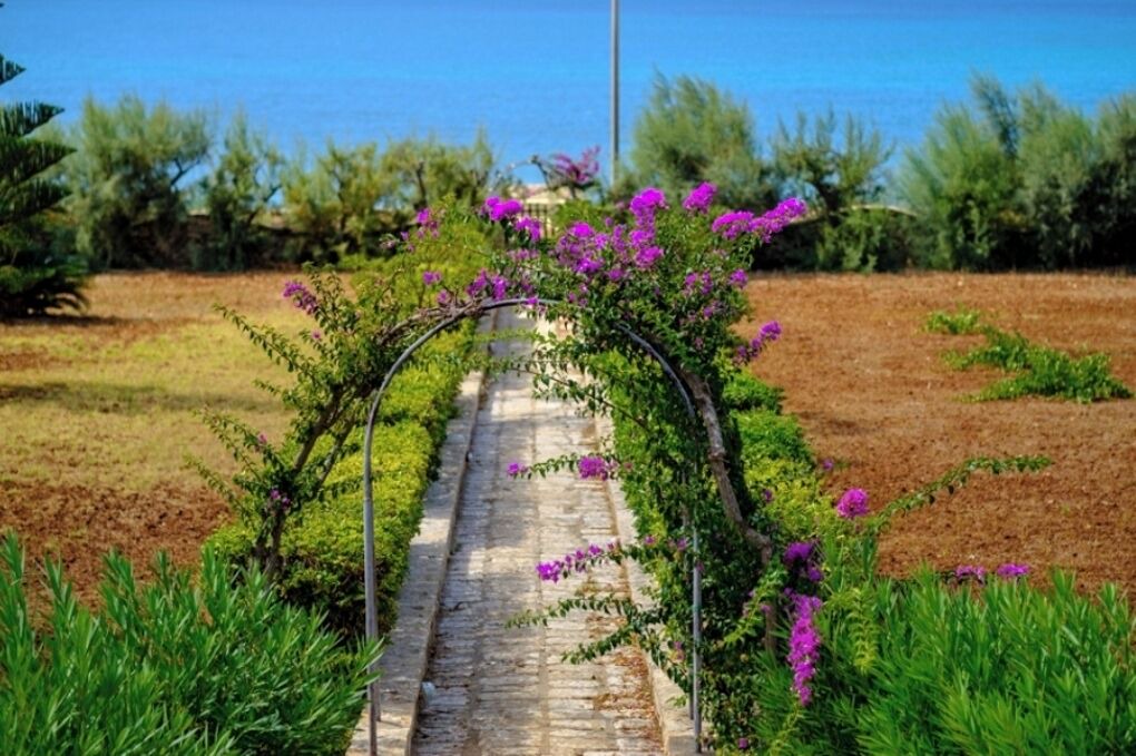 Photo of Outdoor in Torre Vado