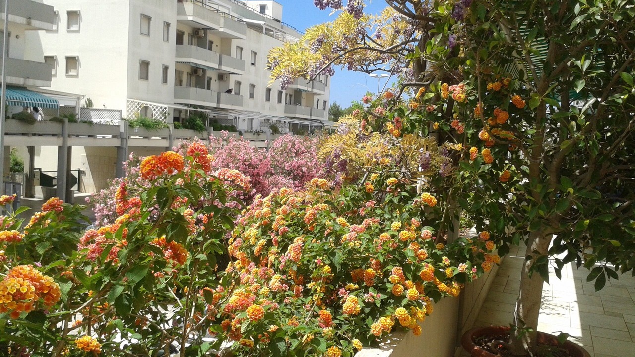 Photo of Outdoor in Rivabella