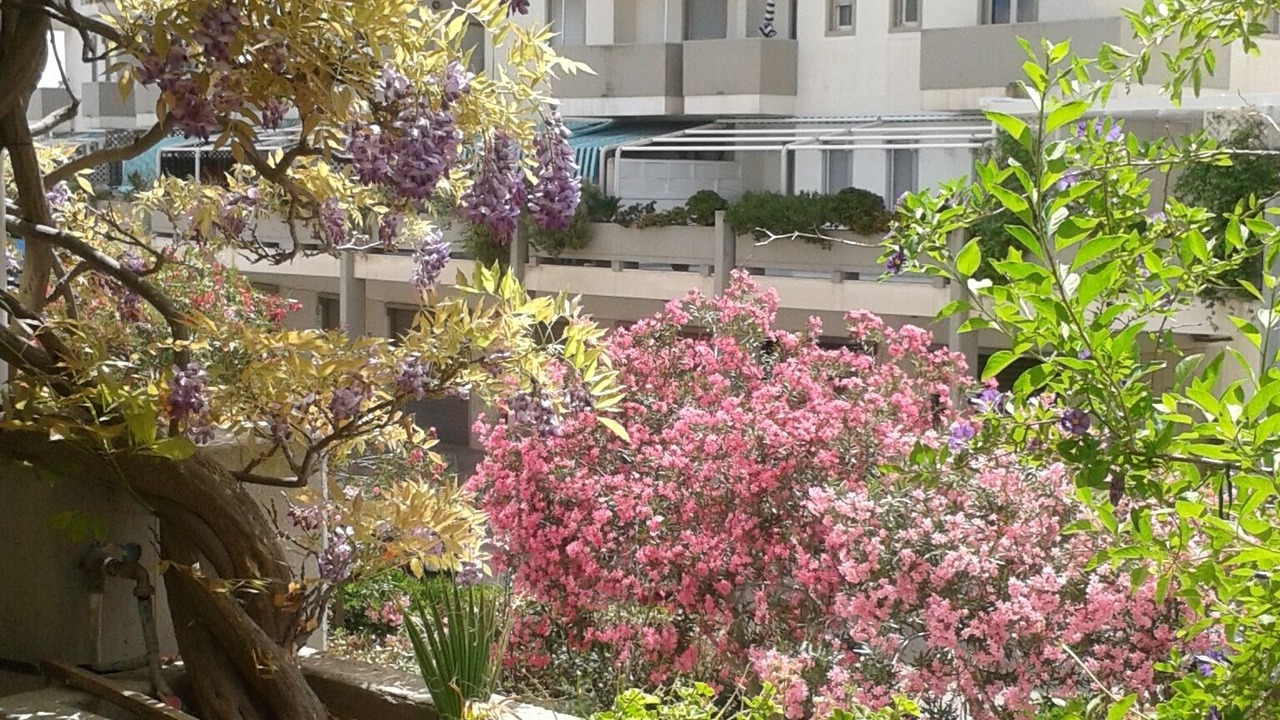 Photo of Outdoor in Rivabella