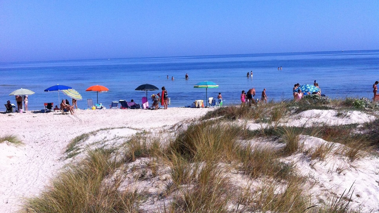 Photo of Others in Frigole