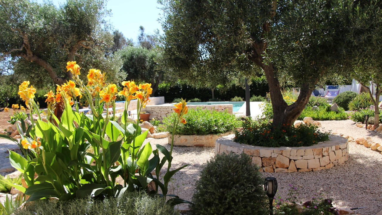 Photo of Outdoor in San Vito dei Normanni