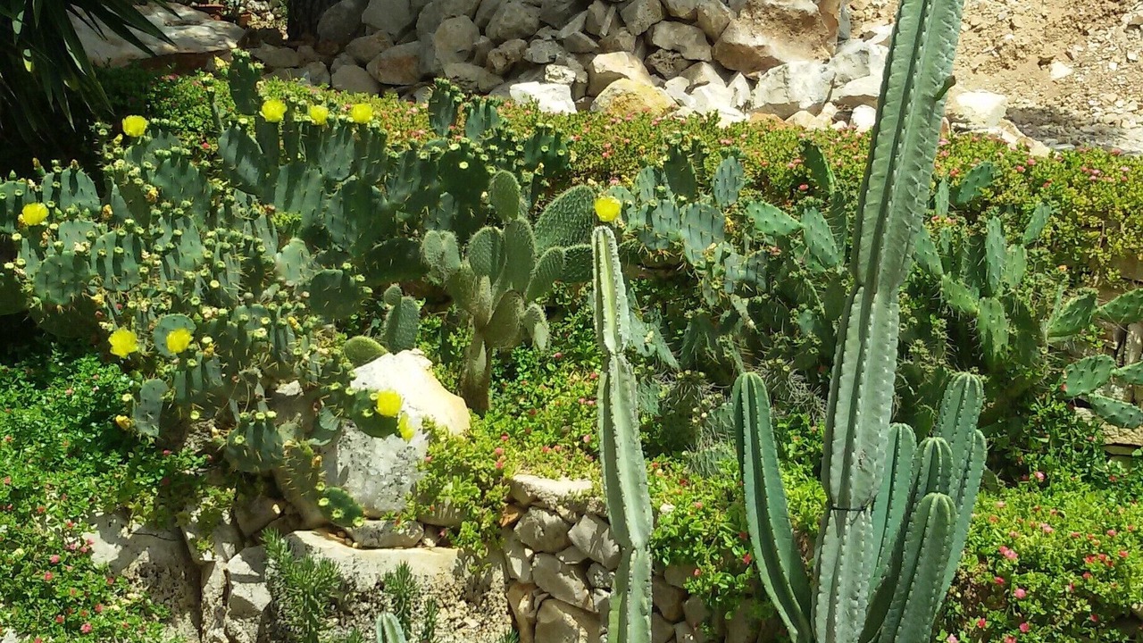 Photo of Outdoor in Torre Vado