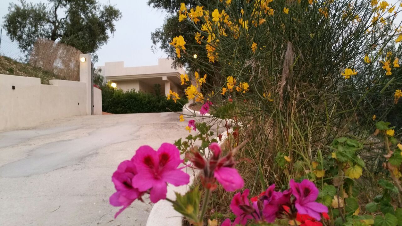 Photo of Outdoor in Chiesiola