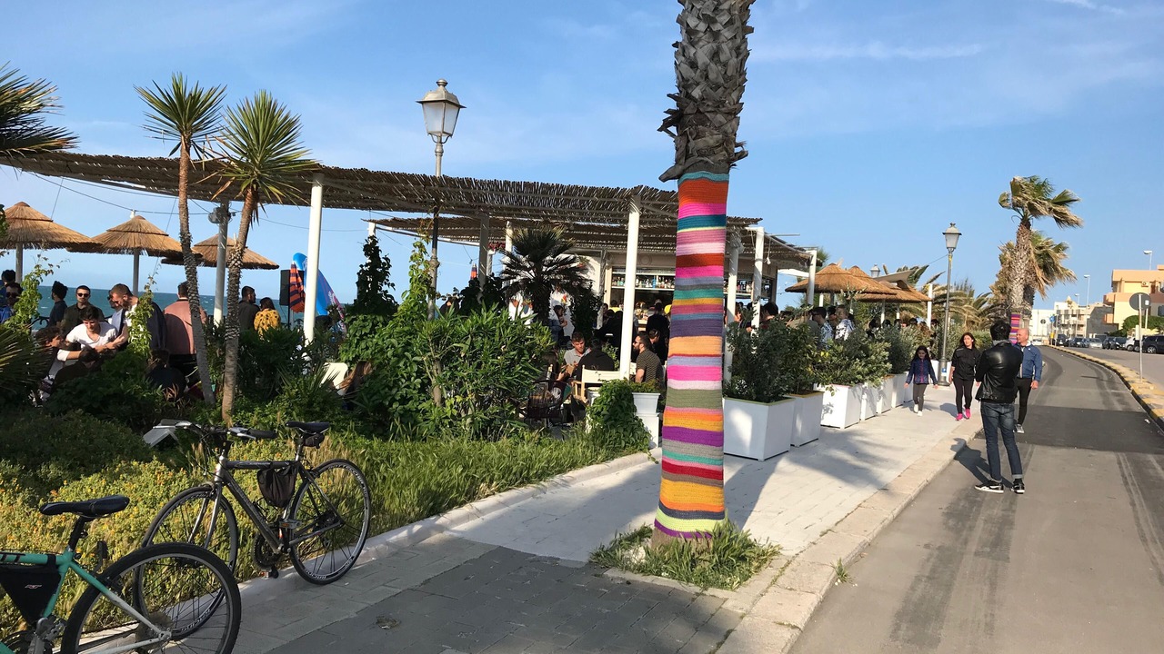 Photo of Others in Trani