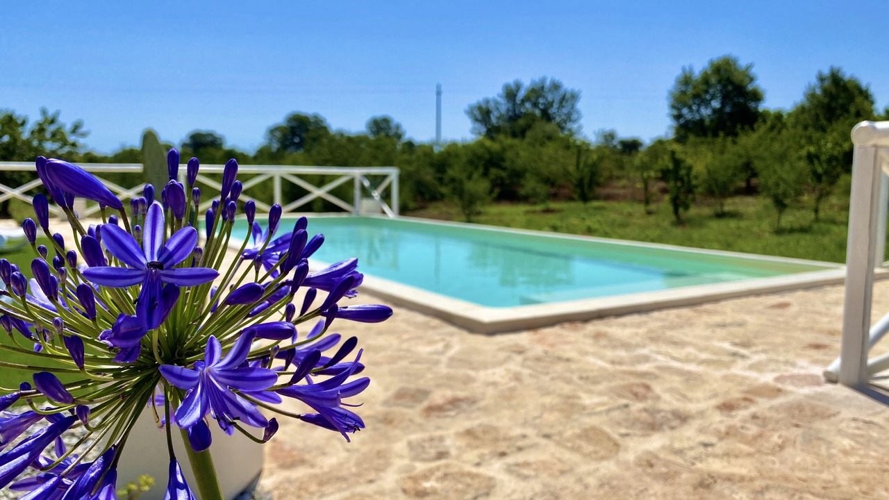 Photo of Outdoor in The Trulli of Alberobello