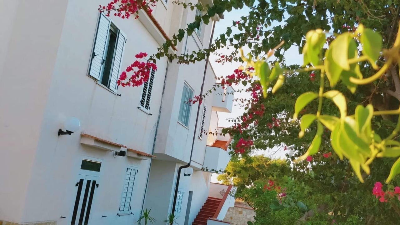 Photo of Outdoor in Defensola