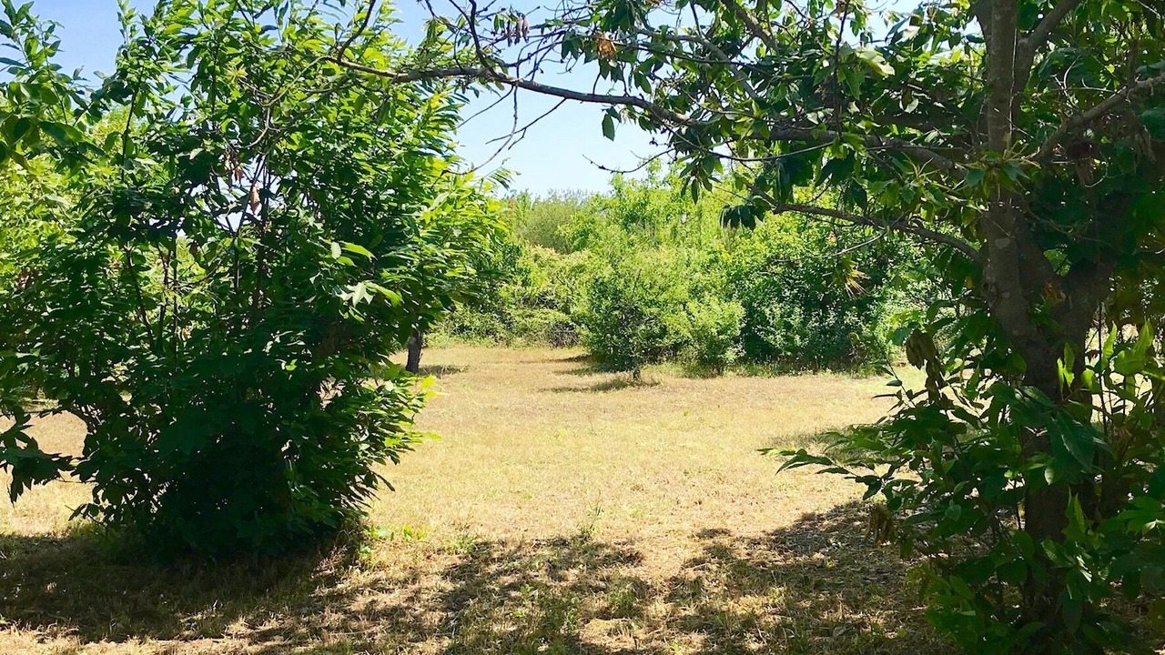 Photo of Others in Ceglie Messapica