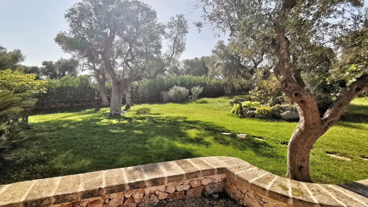 Photo of Outdoor in Carovigno