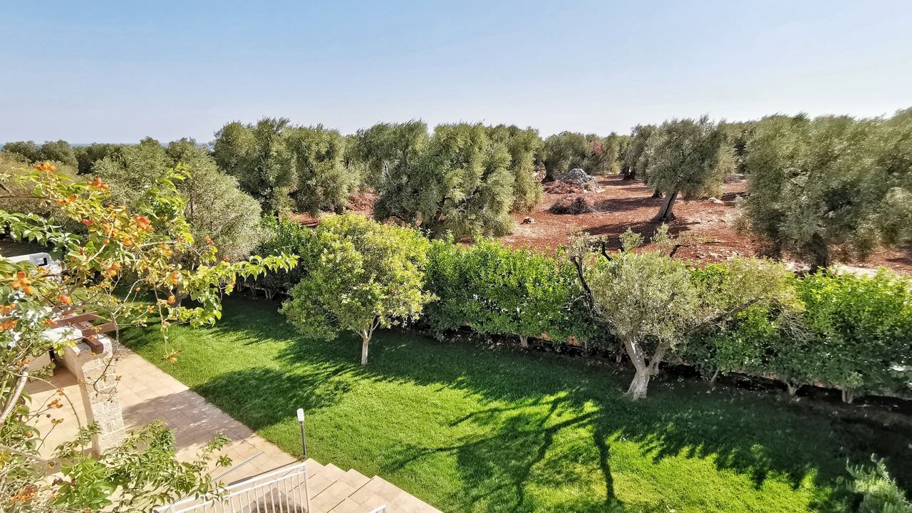 Photo of Outdoor in Carovigno