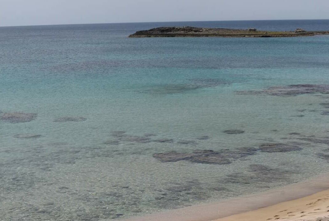 Photo of Others in Torre San Giovanni