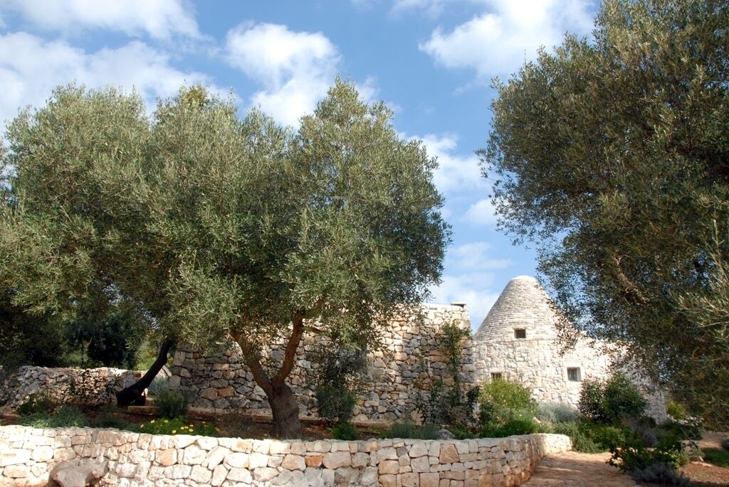 Photo of Outdoor in Cisternino