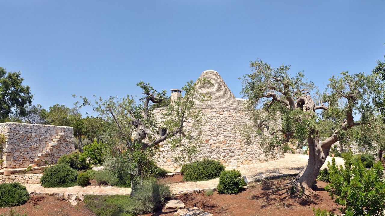 Photo of Others in Cisternino
