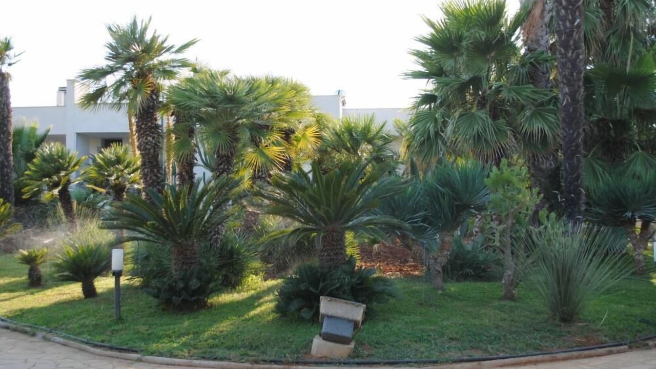 Photo of Outdoor in Casarano