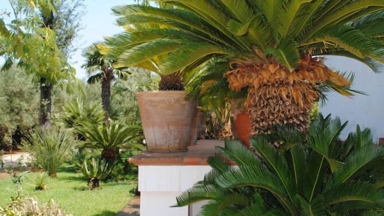 Photo of Outdoor in Casarano