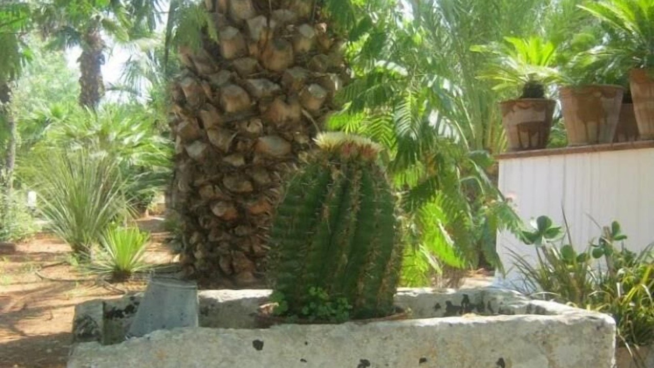 Photo of Outdoor in Casarano