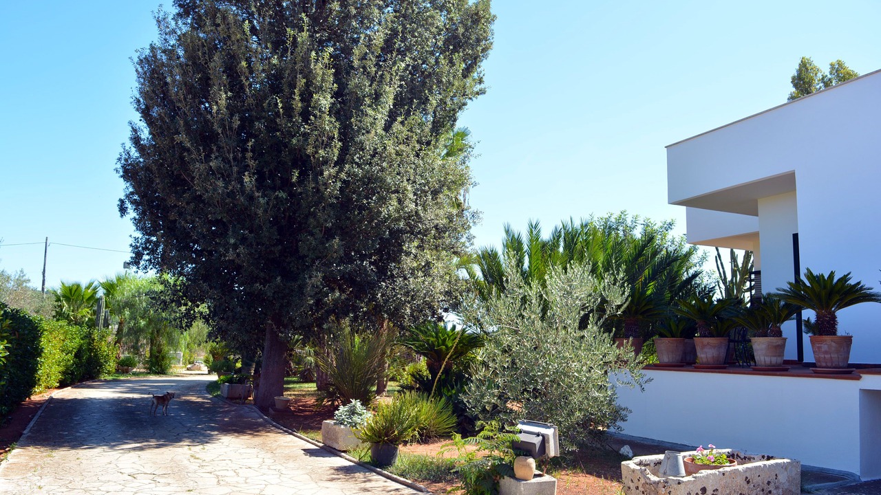 Photo of Outdoor in Casarano